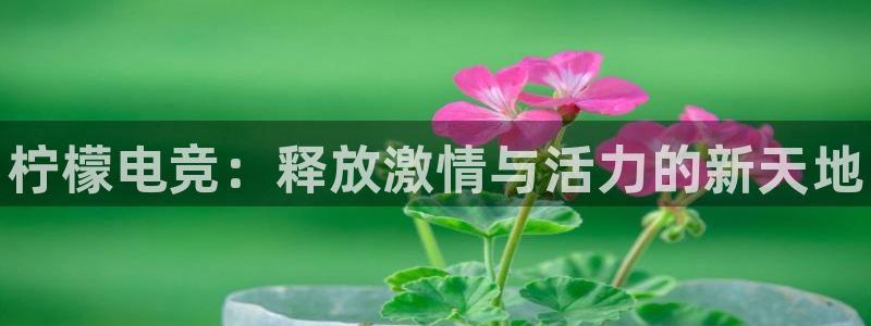 一竞技app下载安装：柠檬电竞：释放激情与活力的新天地