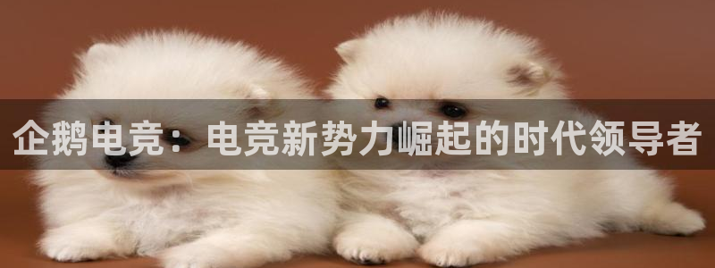 一竞技平台：企鹅电竞：电竞新势力崛起的时代领导者