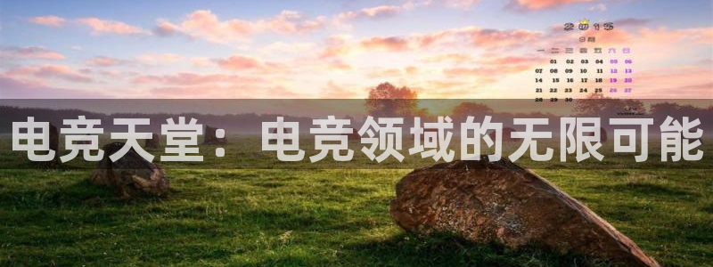一竞技官网下载：电竞天堂：电竞领域的无限可能