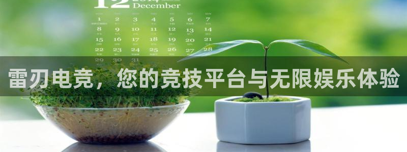 一竞技官网：雷刃电竞，您的竞技平台与无限娱乐体验