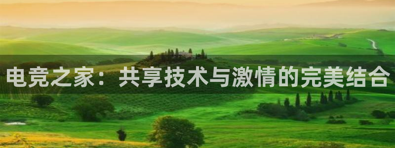 一竞技平台：电竞之家：共享技术与激情的完美结合