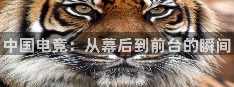 一竞技官网：中国电竞：从幕后到前台的瞬间