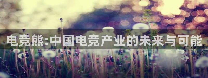 一竞技app下载：电竞熊:中国电竞产业的未来与可能