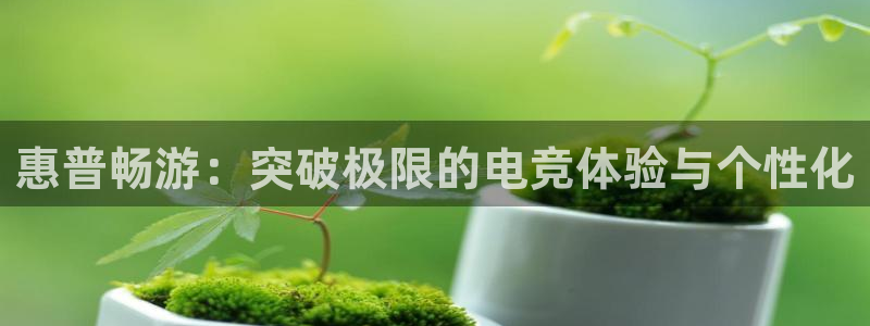 一竞技平台：惠普畅游：突破极限的电竞体验与个性化