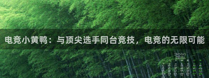 一竞技官网地址：电竞小黄鸭：与顶尖选手同台竞技，电竞的无限可能
