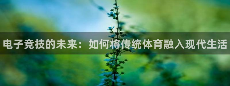 一竞技网址：电子竞技的未来：如何将传统体育融入现代生活
