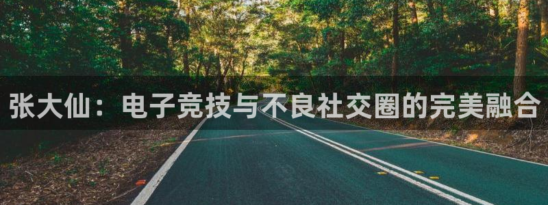 一竞技官网下载：张大仙：电子竞技与不良社交圈的完美融合