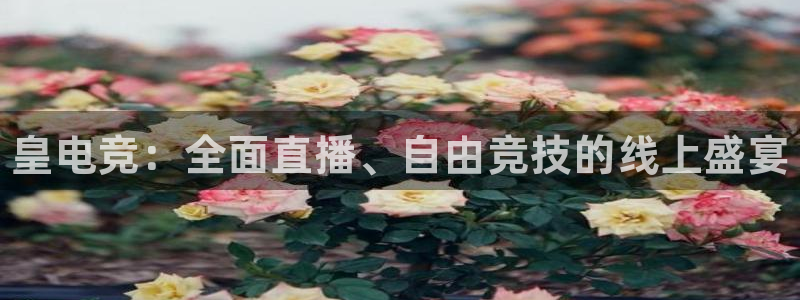 一竞技app：皇电竞：全面直播、自由竞技的线上盛宴