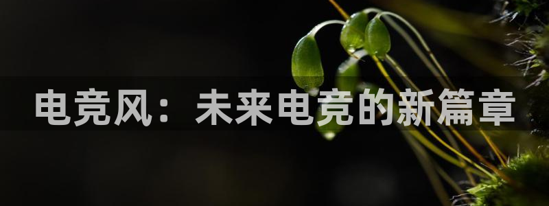 一竞技官网：电竞风：未来电竞的新篇章