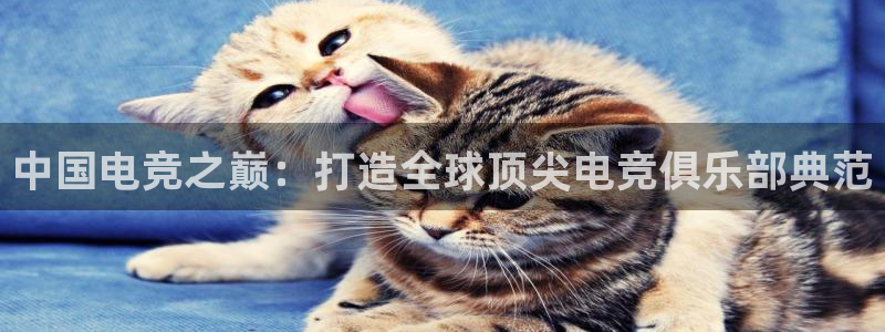 一竞技：中国电竞之巅：打造全球顶尖电竞俱乐部典范